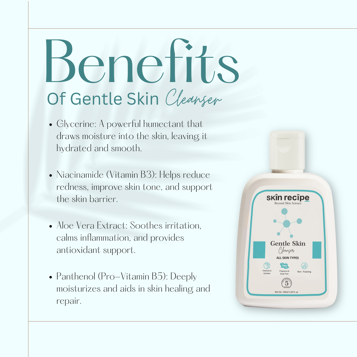 Gentle Skin Cleanser